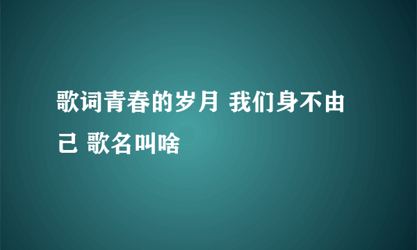 歌词青春的岁月 我们身不由己 歌名叫啥