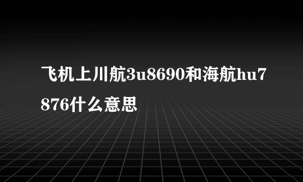 飞机上川航3u8690和海航hu7876什么意思