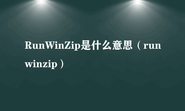 RunWinZip是什么意思（runwinzip）