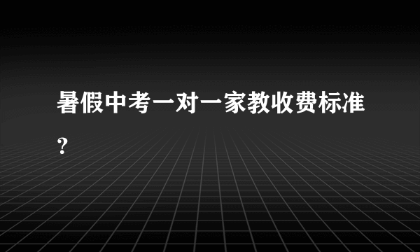 暑假中考一对一家教收费标准？