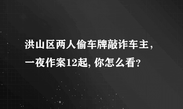 洪山区两人偷车牌敲诈车主，一夜作案12起, 你怎么看？