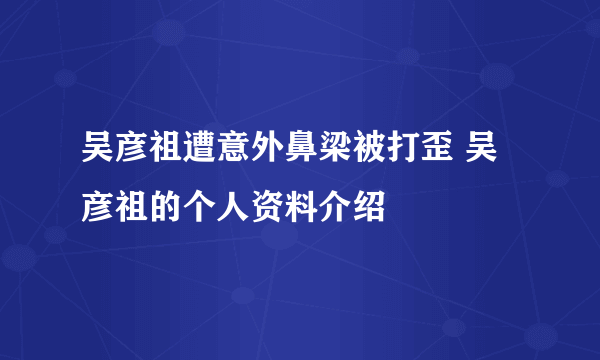 吴彦祖遭意外鼻梁被打歪 吴彦祖的个人资料介绍