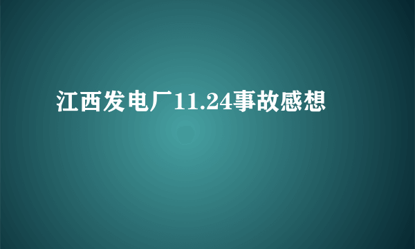 江西发电厂11.24事故感想