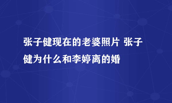 张子健现在的老婆照片 张子健为什么和李婷离的婚