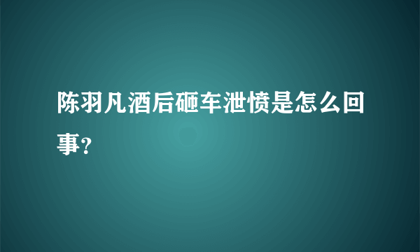 陈羽凡酒后砸车泄愤是怎么回事？