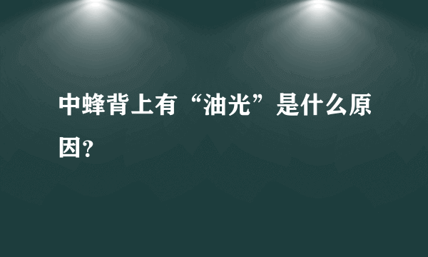 中蜂背上有“油光”是什么原因？