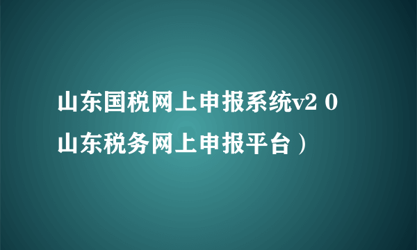 山东国税网上申报系统v2 0 山东税务网上申报平台）