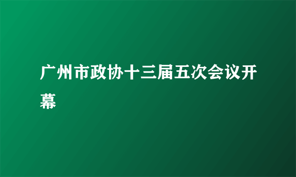 广州市政协十三届五次会议开幕