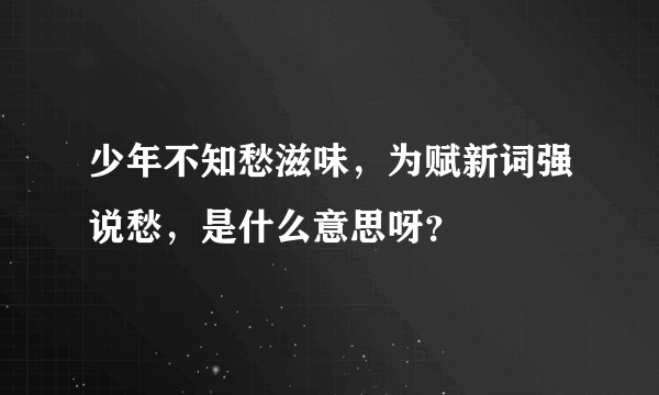 少年不知愁滋味，为赋新词强说愁，是什么意思呀？