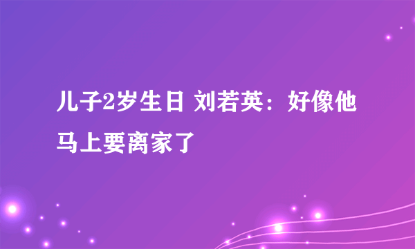 儿子2岁生日 刘若英：好像他马上要离家了