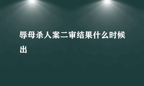 辱母杀人案二审结果什么时候出