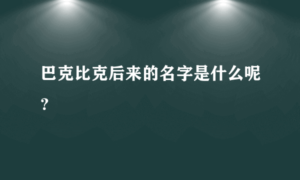 巴克比克后来的名字是什么呢？