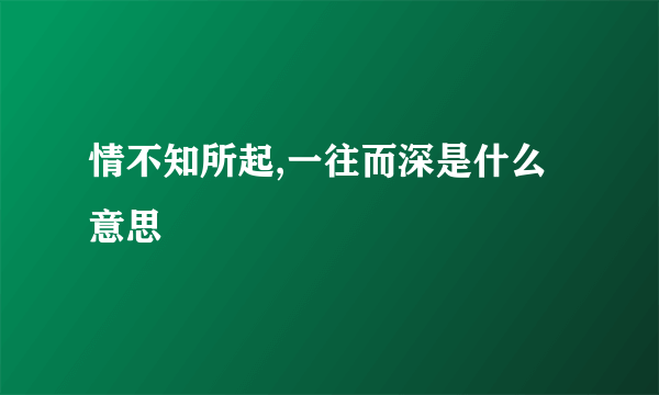 情不知所起,一往而深是什么意思