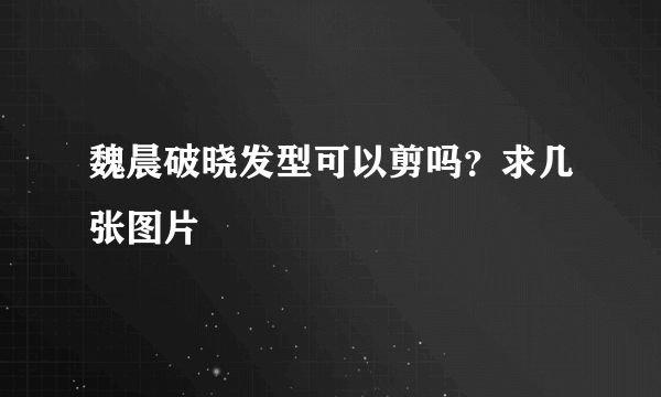 魏晨破晓发型可以剪吗？求几张图片