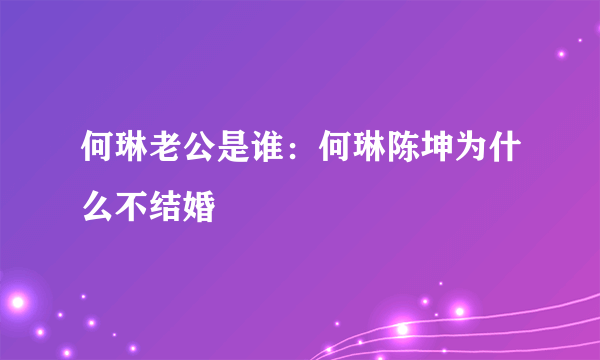 何琳老公是谁：何琳陈坤为什么不结婚