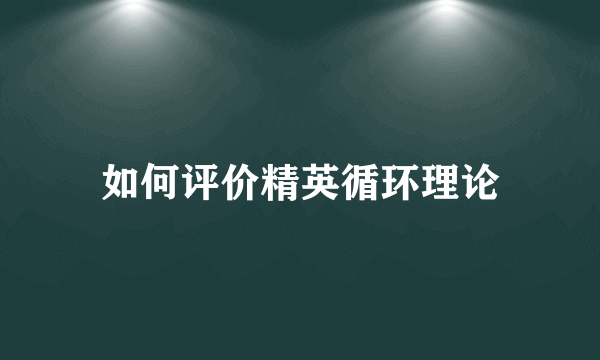 如何评价精英循环理论