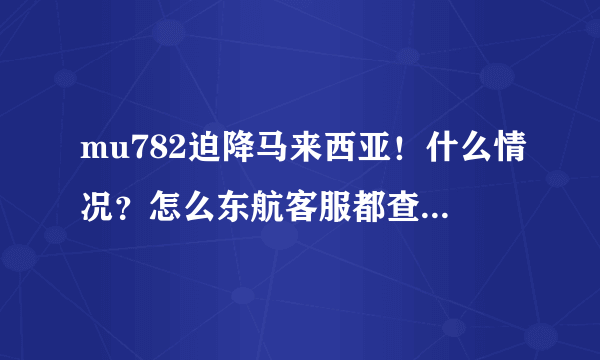 mu782迫降马来西亚！什么情况？怎么东航客服都查不到航班信息了？失踪了吗？