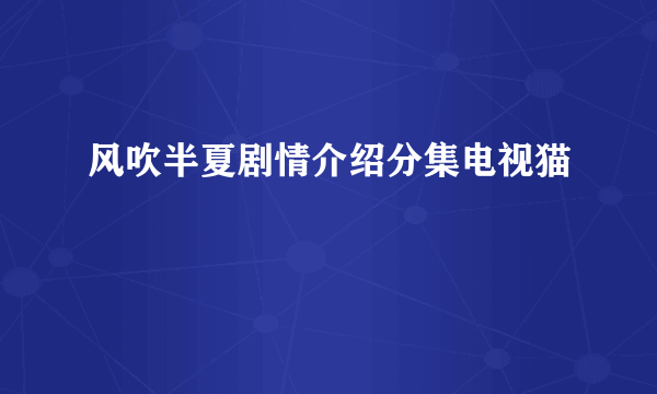 风吹半夏剧情介绍分集电视猫