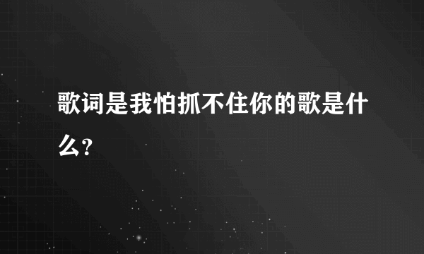 歌词是我怕抓不住你的歌是什么？