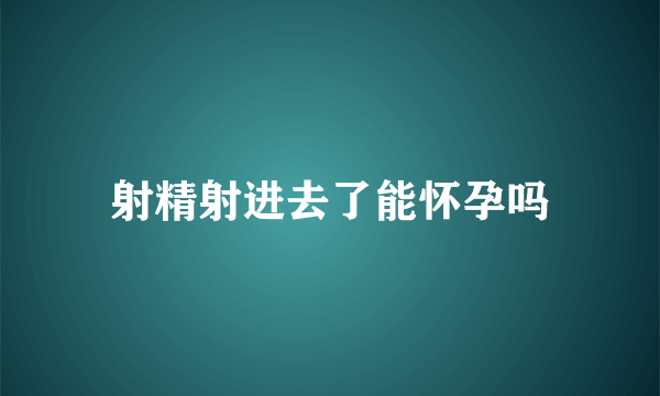 射精射进去了能怀孕吗