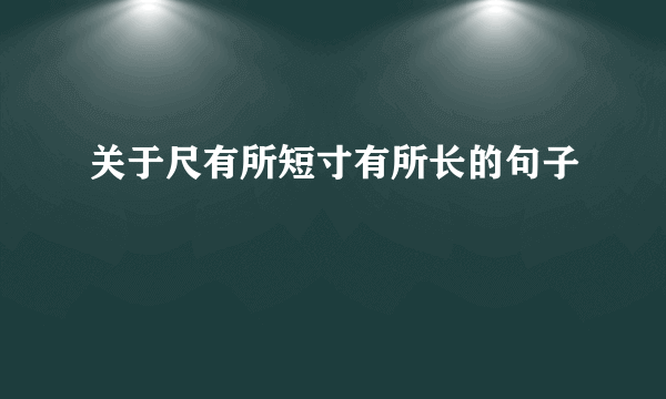 关于尺有所短寸有所长的句子