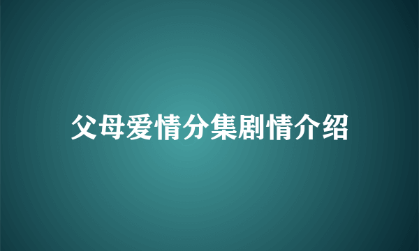 父母爱情分集剧情介绍