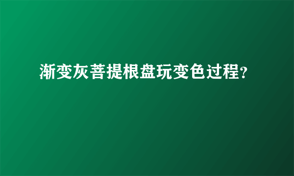 渐变灰菩提根盘玩变色过程？