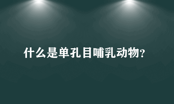 什么是单孔目哺乳动物？