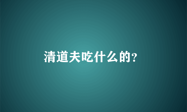 清道夫吃什么的？