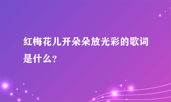 红梅花儿开朵朵放光彩的歌词是什么？