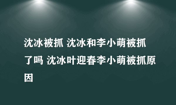 沈冰被抓 沈冰和李小萌被抓了吗 沈冰叶迎春李小萌被抓原因