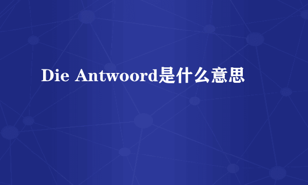 Die Antwoord是什么意思