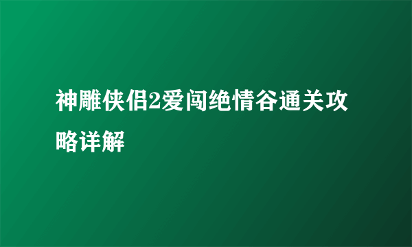 神雕侠侣2爱闯绝情谷通关攻略详解