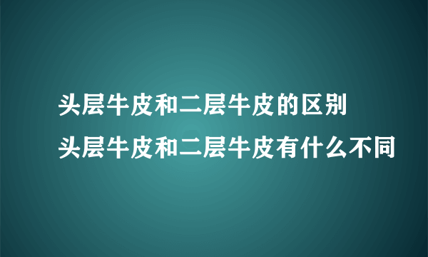 头层牛皮和二层牛皮的区别 头层牛皮和二层牛皮有什么不同