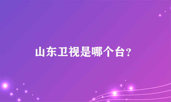 山东卫视是哪个台？