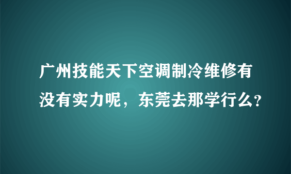 广州技能天下空调制冷维修有没有实力呢，东莞去那学行么？