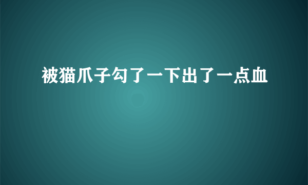 被猫爪子勾了一下出了一点血