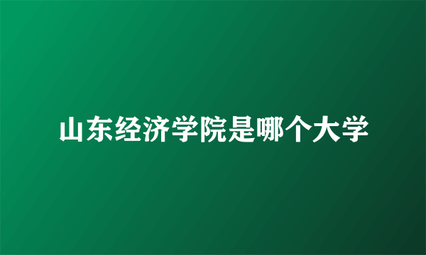 山东经济学院是哪个大学