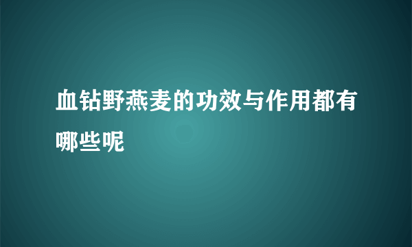 血钻野燕麦的功效与作用都有哪些呢