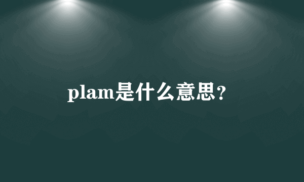 plam是什么意思？