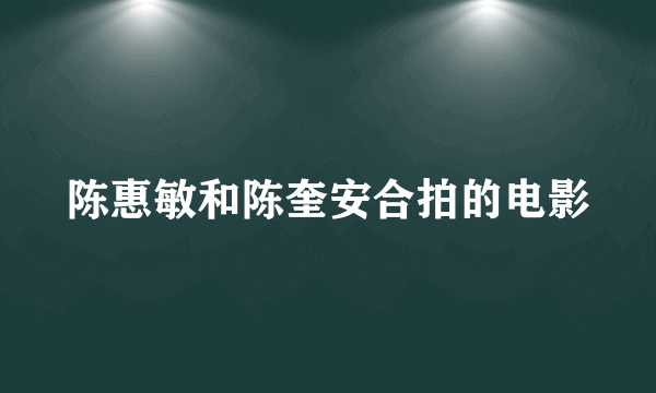 陈惠敏和陈奎安合拍的电影