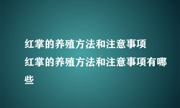 红掌的养殖方法和注意事项 红掌的养殖方法和注意事项有哪些