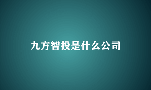 九方智投是什么公司