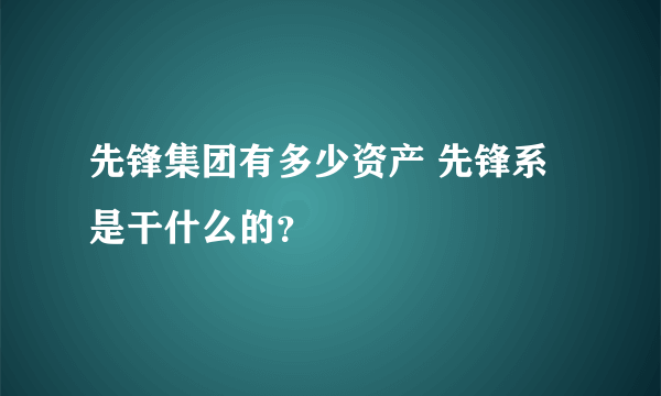 先锋集团有多少资产 先锋系是干什么的？