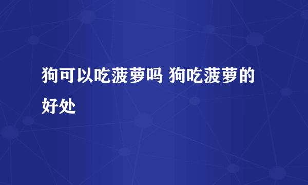 狗可以吃菠萝吗 狗吃菠萝的好处