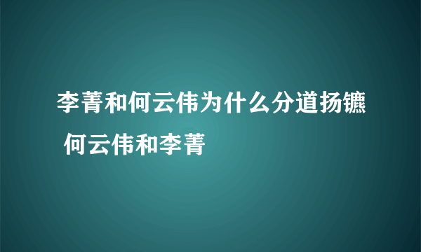 李菁和何云伟为什么分道扬镳 何云伟和李菁