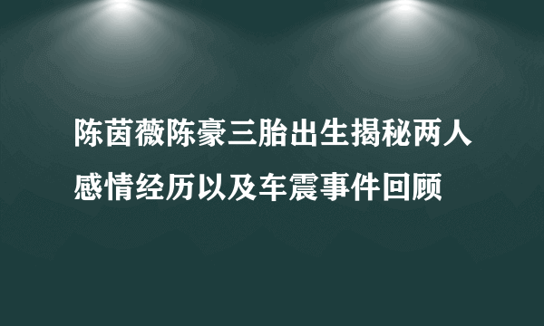 陈茵薇陈豪三胎出生揭秘两人感情经历以及车震事件回顾