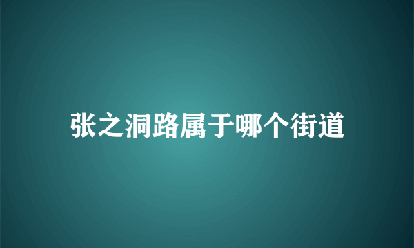 张之洞路属于哪个街道