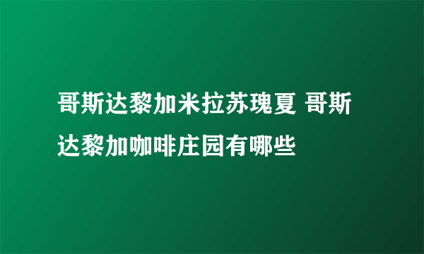 哥斯达黎加米拉苏瑰夏 哥斯达黎加咖啡庄园有哪些