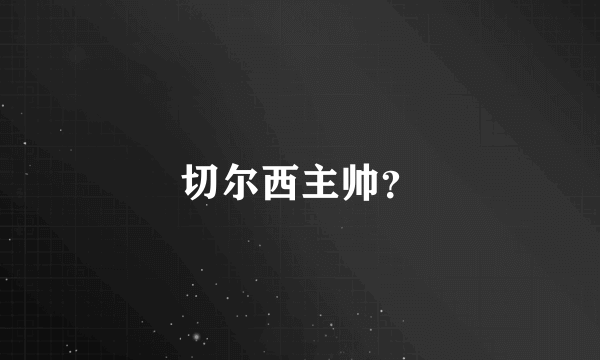 切尔西主帅？